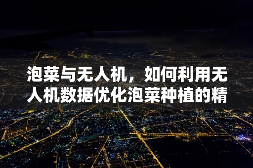 泡菜与无人机，如何利用无人机数据优化泡菜种植的精准农业实践？