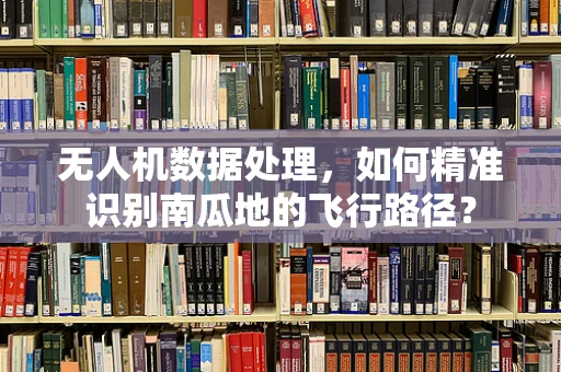 无人机数据处理，如何精准识别南瓜地的飞行路径？
