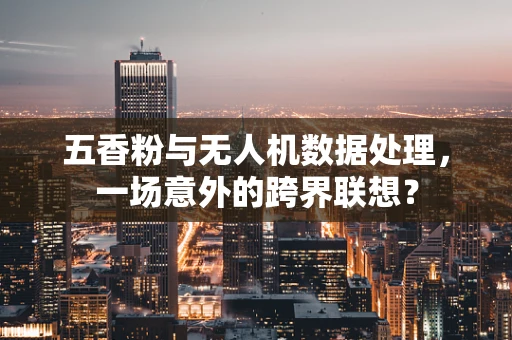 五香粉与无人机数据处理，一场意外的跨界联想？