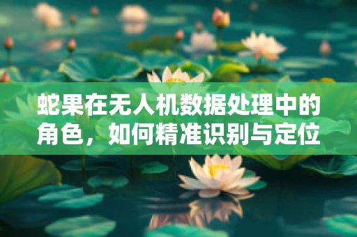 蛇果在无人机数据处理中的角色，如何精准识别与定位？