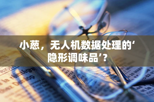 小葱，无人机数据处理的‘隐形调味品’？