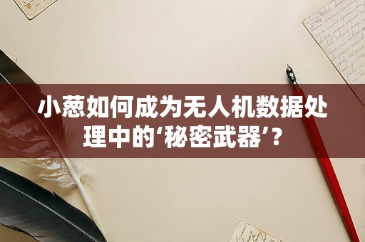 小葱如何成为无人机数据处理中的‘秘密武器’？
