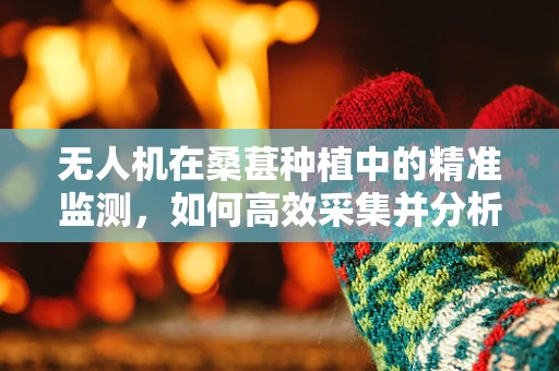 无人机在桑葚种植中的精准监测，如何高效采集并分析果实成熟度数据？