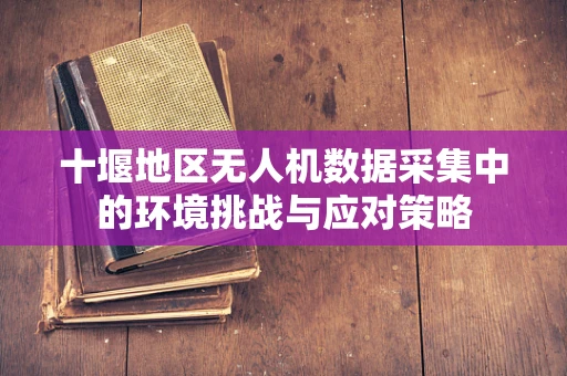 十堰地区无人机数据采集中的环境挑战与应对策略