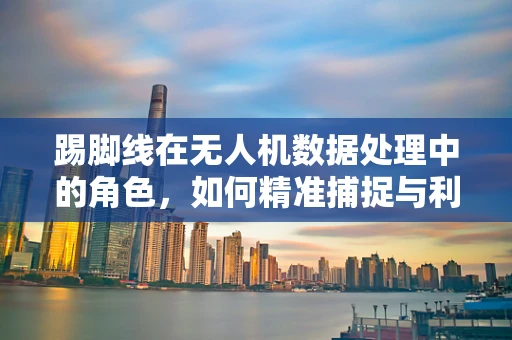 踢脚线在无人机数据处理中的角色，如何精准捕捉与利用？