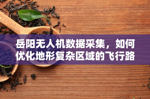 岳阳无人机数据采集，如何优化地形复杂区域的飞行路径规划？