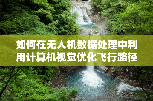 如何在无人机数据处理中利用计算机视觉优化飞行路径？