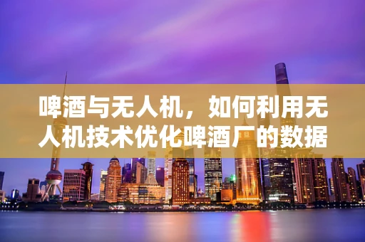 啤酒与无人机，如何利用无人机技术优化啤酒厂的数据处理？