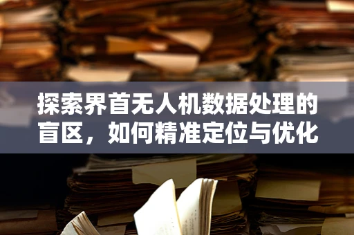 探索界首无人机数据处理的盲区，如何精准定位与优化？