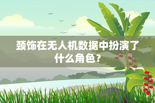 颈饰在无人机数据中扮演了什么角色？