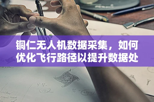 铜仁无人机数据采集，如何优化飞行路径以提升数据处理效率？
