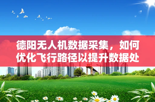 德阳无人机数据采集，如何优化飞行路径以提升数据处理效率？