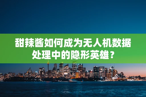 甜辣酱如何成为无人机数据处理中的隐形英雄？