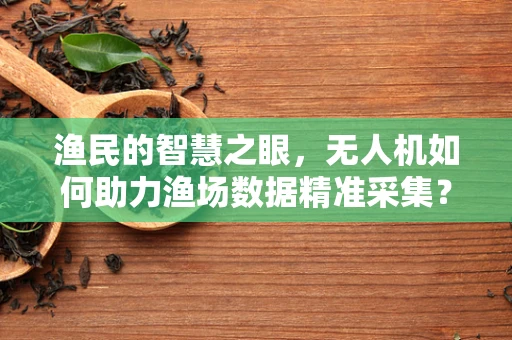 渔民的智慧之眼，无人机如何助力渔场数据精准采集？