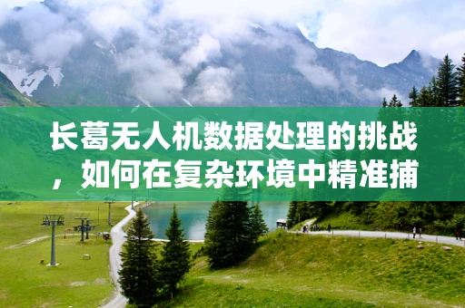 长葛无人机数据处理的挑战，如何在复杂环境中精准捕捉？