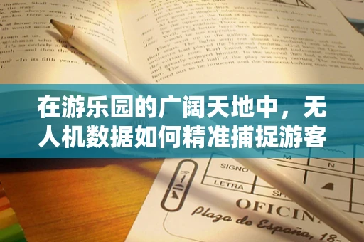 在游乐园的广阔天地中，无人机数据如何精准捕捉游客情绪？