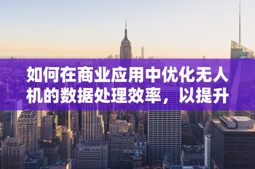 如何在商业应用中优化无人机的数据处理效率，以提升商人的决策速度？