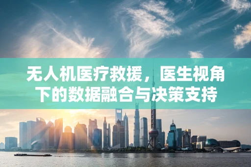 无人机医疗救援，医生视角下的数据融合与决策支持