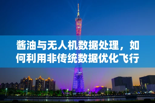 酱油与无人机数据处理，如何利用非传统数据优化飞行任务？