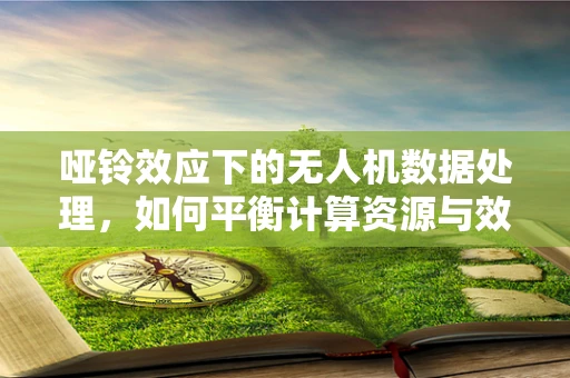 哑铃效应下的无人机数据处理，如何平衡计算资源与效率？