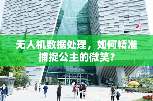 无人机数据处理，如何精准捕捉公主的微笑？