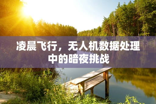 凌晨飞行，无人机数据处理中的暗夜挑战