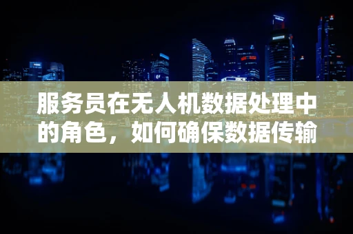 服务员在无人机数据处理中的角色，如何确保数据传输的准确与高效？