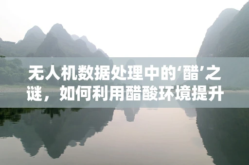 无人机数据处理中的‘醋’之谜，如何利用醋酸环境提升数据稳定性？