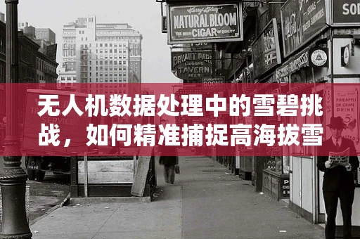 无人机数据处理中的雪碧挑战，如何精准捕捉高海拔雪域的细微变化？