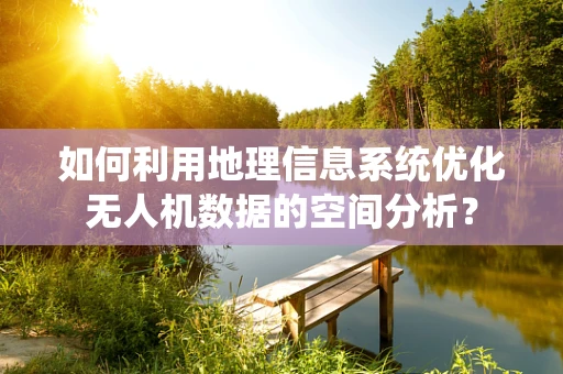 如何利用地理信息系统优化无人机数据的空间分析？