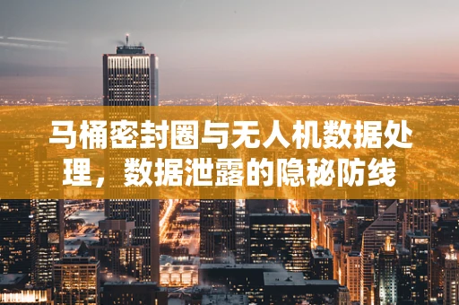 马桶密封圈与无人机数据处理，数据泄露的隐秘防线