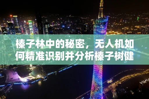 榛子林中的秘密，无人机如何精准识别并分析榛子树健康状况？