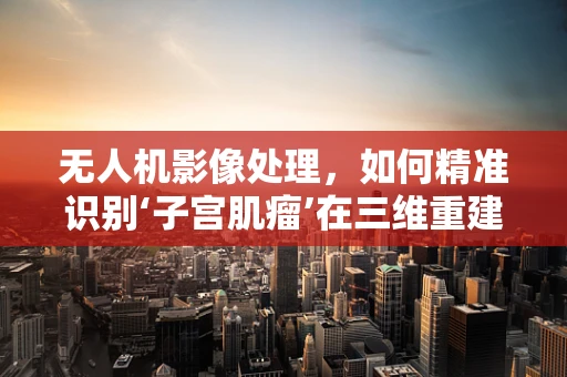 无人机影像处理，如何精准识别‘子宫肌瘤’在三维重建中的形态特征？