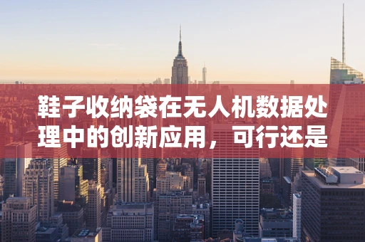 鞋子收纳袋在无人机数据处理中的创新应用，可行还是鸡肋？