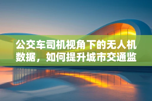 公交车司机视角下的无人机数据，如何提升城市交通监测的精准度？