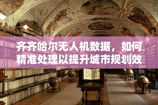齐齐哈尔无人机数据，如何精准处理以提升城市规划效率？