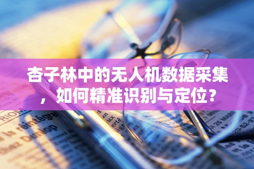 杏子林中的无人机数据采集，如何精准识别与定位？