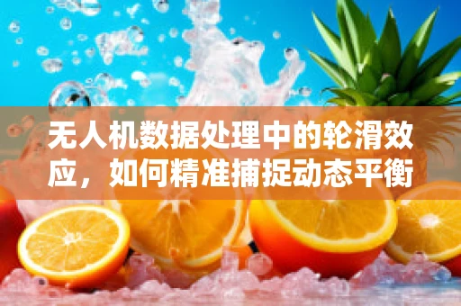 无人机数据处理中的轮滑效应，如何精准捕捉动态平衡？