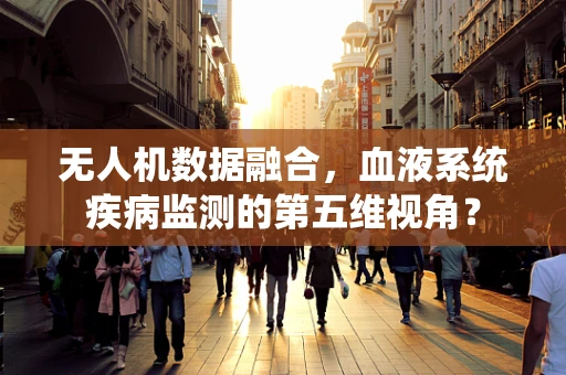 无人机数据融合，血液系统疾病监测的第五维视角？