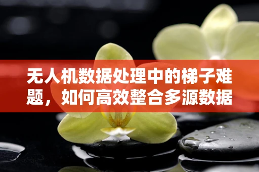 无人机数据处理中的梯子难题，如何高效整合多源数据？