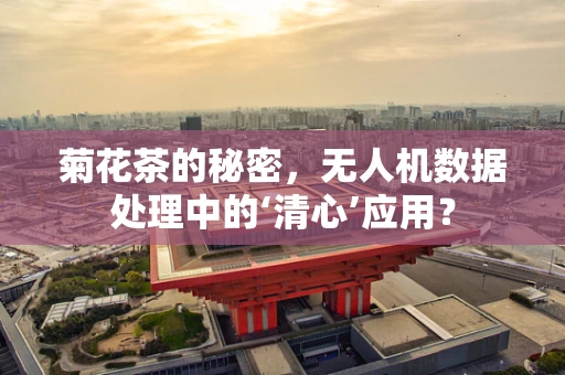 菊花茶的秘密，无人机数据处理中的‘清心’应用？