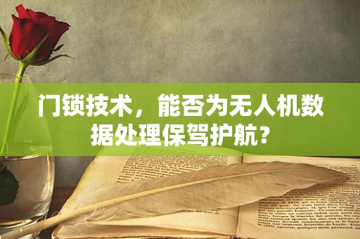 门锁技术，能否为无人机数据处理保驾护航？
