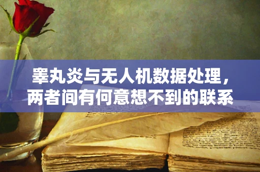 睾丸炎与无人机数据处理，两者间有何意想不到的联系？