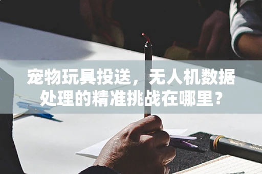 宠物玩具投送，无人机数据处理的精准挑战在哪里？