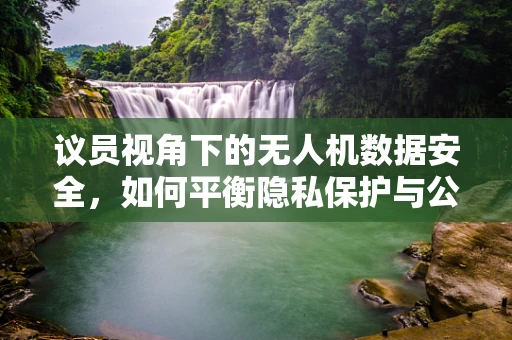 议员视角下的无人机数据安全，如何平衡隐私保护与公共利益？
