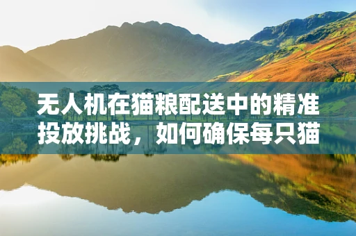 无人机在猫粮配送中的精准投放挑战，如何确保每只猫咪碗满筷足？