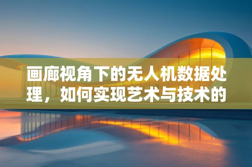 画廊视角下的无人机数据处理，如何实现艺术与技术的完美融合？