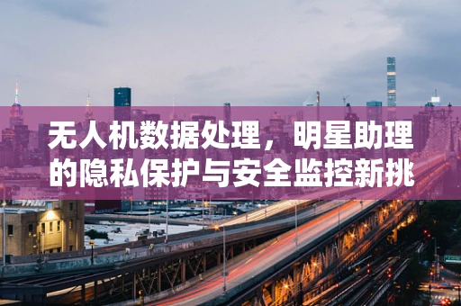 无人机数据处理，明星助理的隐私保护与安全监控新挑战？