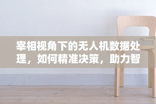 宰相视角下的无人机数据处理，如何精准决策，助力智慧国策？