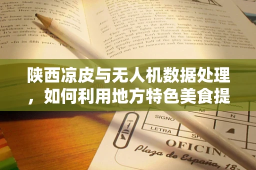 陕西凉皮与无人机数据处理，如何利用地方特色美食提升航拍数据分析效率？